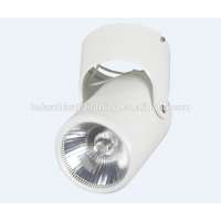 Surface Mounted 10W 15W LED Retrofit Spot Light Rotary Light for Ceiling Decoration